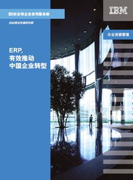 IBM商业价值研究院 ERP,有效推动中国企业转型下载